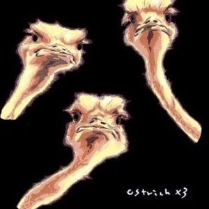 Meet your Posher, Mara